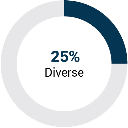 piechart_diverse.jpg