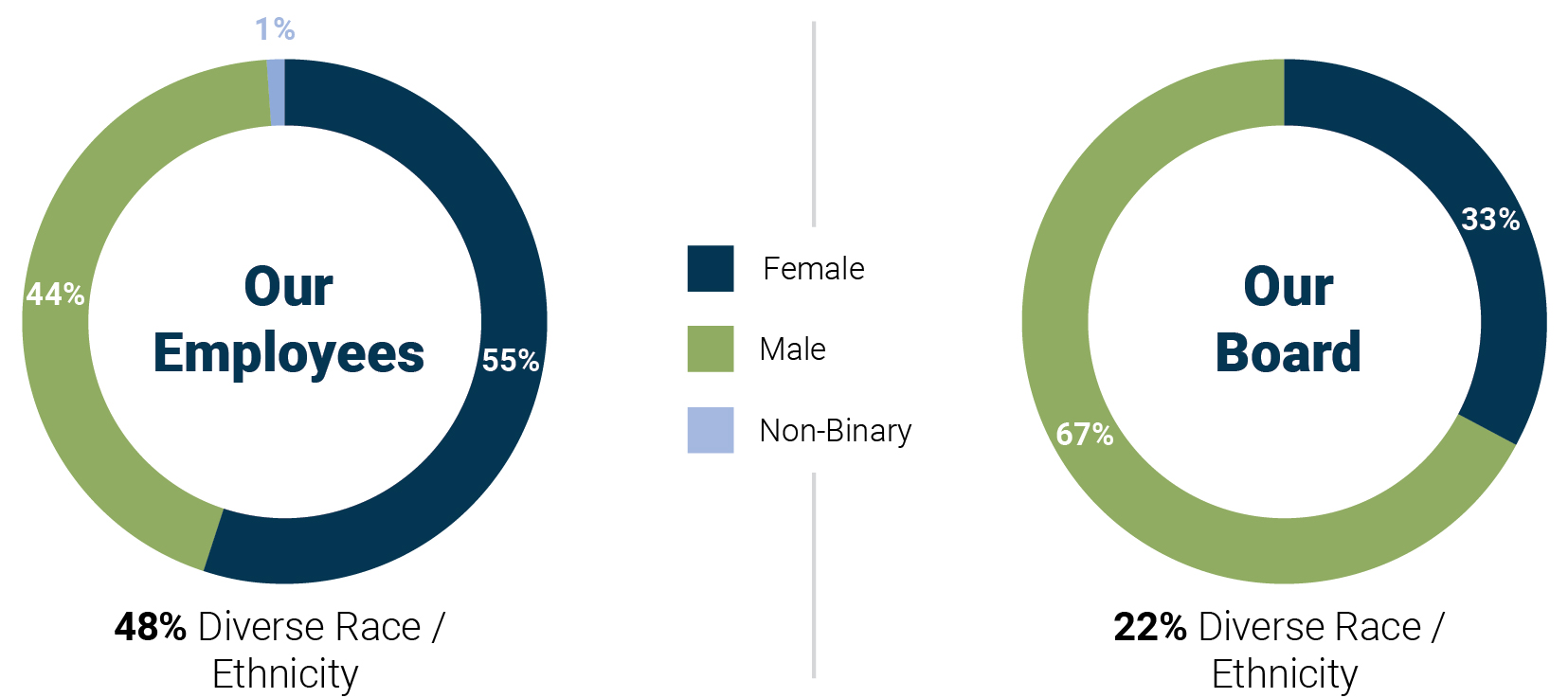 piecharts_boarddiversity.jpg